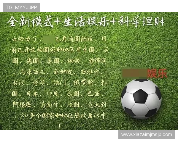 对赌球平台的法律法规解读与合规运营标准，保障玩家合法权益的全面解析