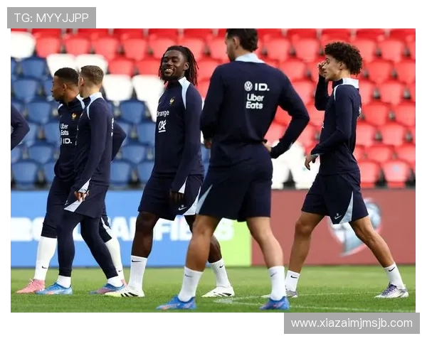 法国队在欧洲区世界杯预选赛中的积分排名及争冠形势全面解析